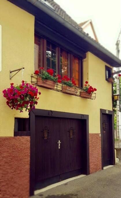 Chez Mamema, Maison Alsacienne Route Des Vins Kintzheim Exterior foto